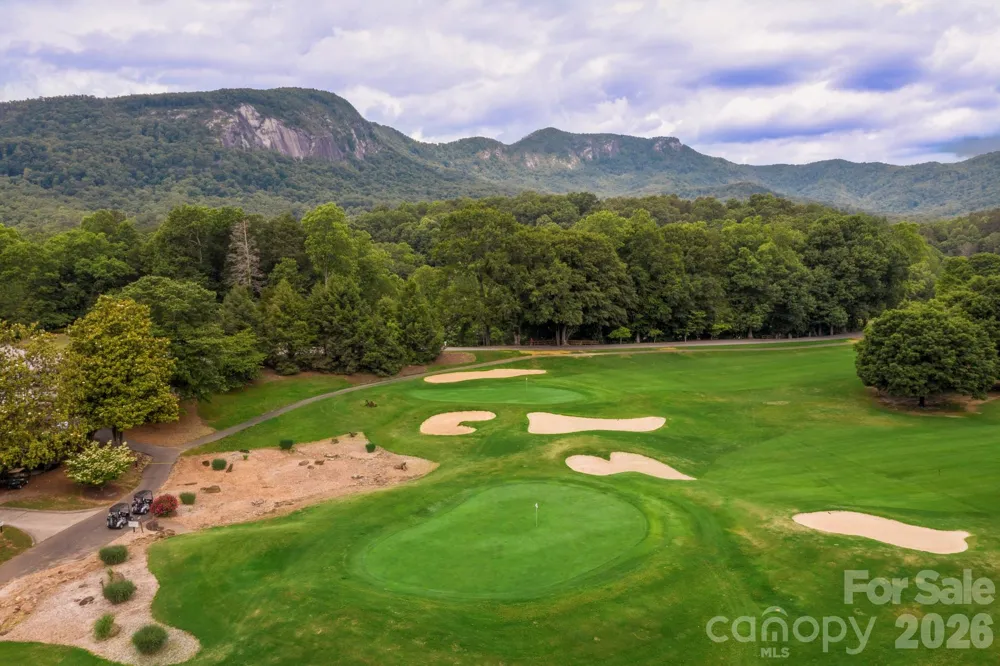 193 Downing Place Lake Lure, NC 28746