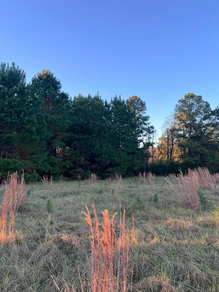 251 Pr 7701 San Augustine, TX 75972