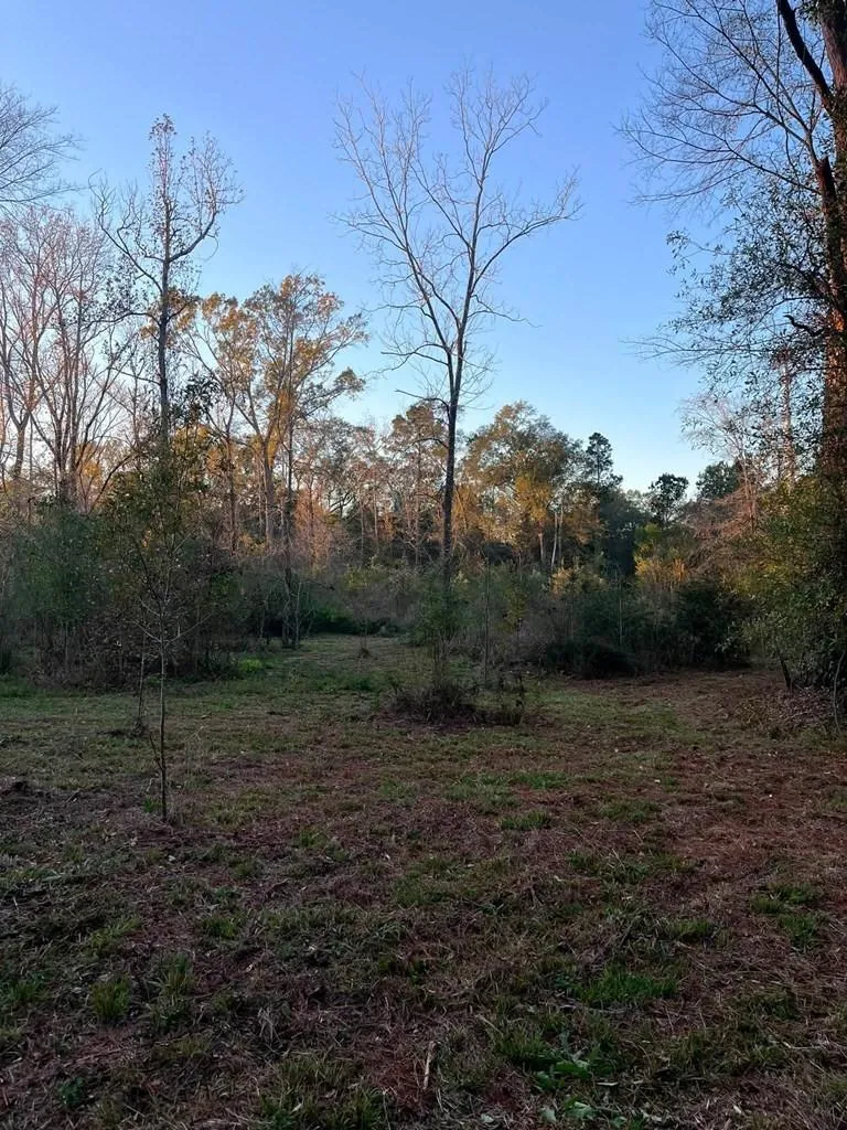 251 Pr 7701 San Augustine, TX 75972