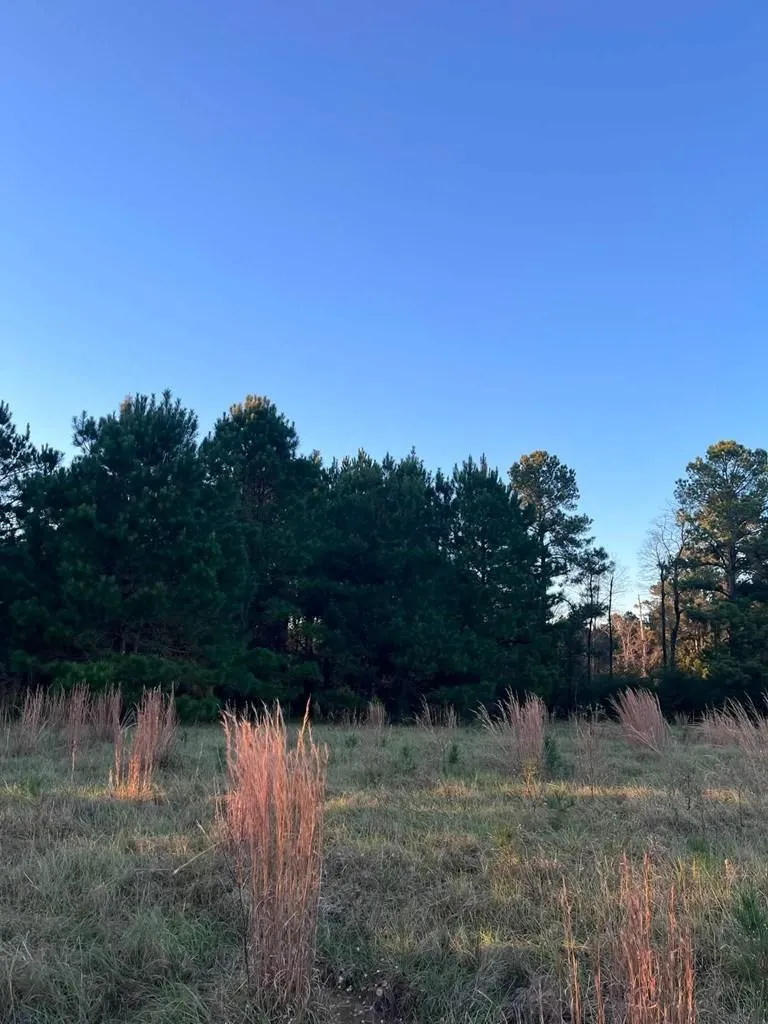 251 Pr 7701 San Augustine, TX 75972