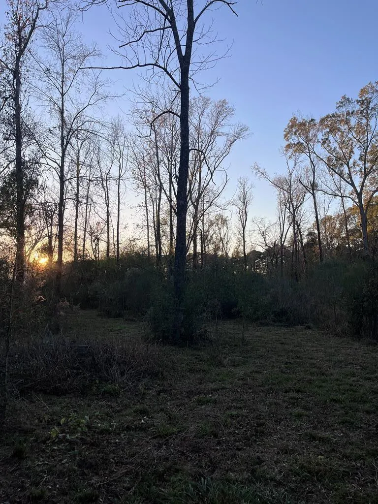251 Pr 7701 San Augustine, TX 75972