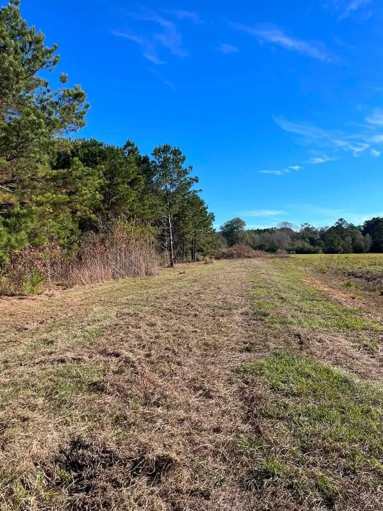 251 Pr 7701 San Augustine, TX 75972