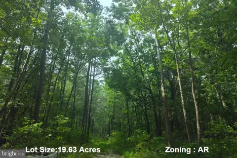 4820 DANVILLE ROAD