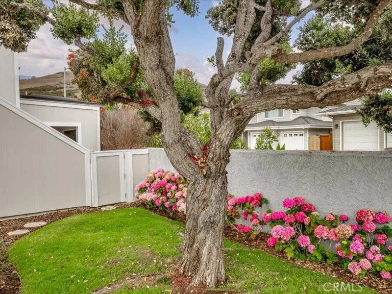 3080 Studio Cayucos, CA 93430