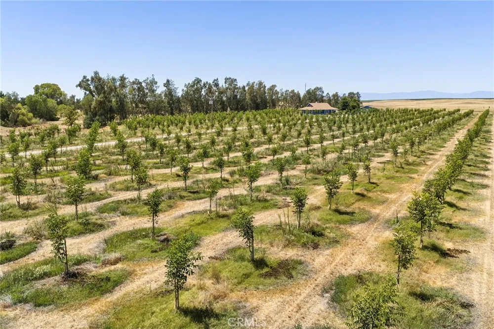 3325 Hall Corning, CA 96021