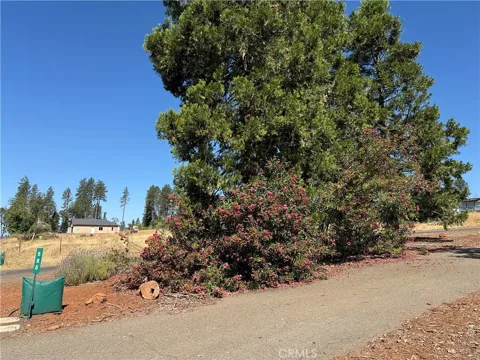 585 Sunset Drive