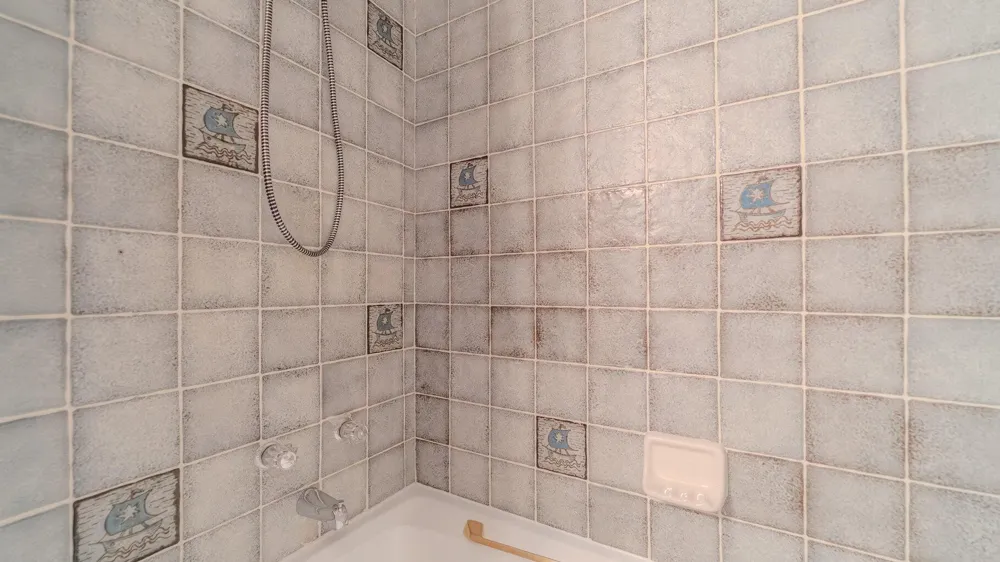 8121 Lake Shore Drive #6 Cedar Lake, IN 46303