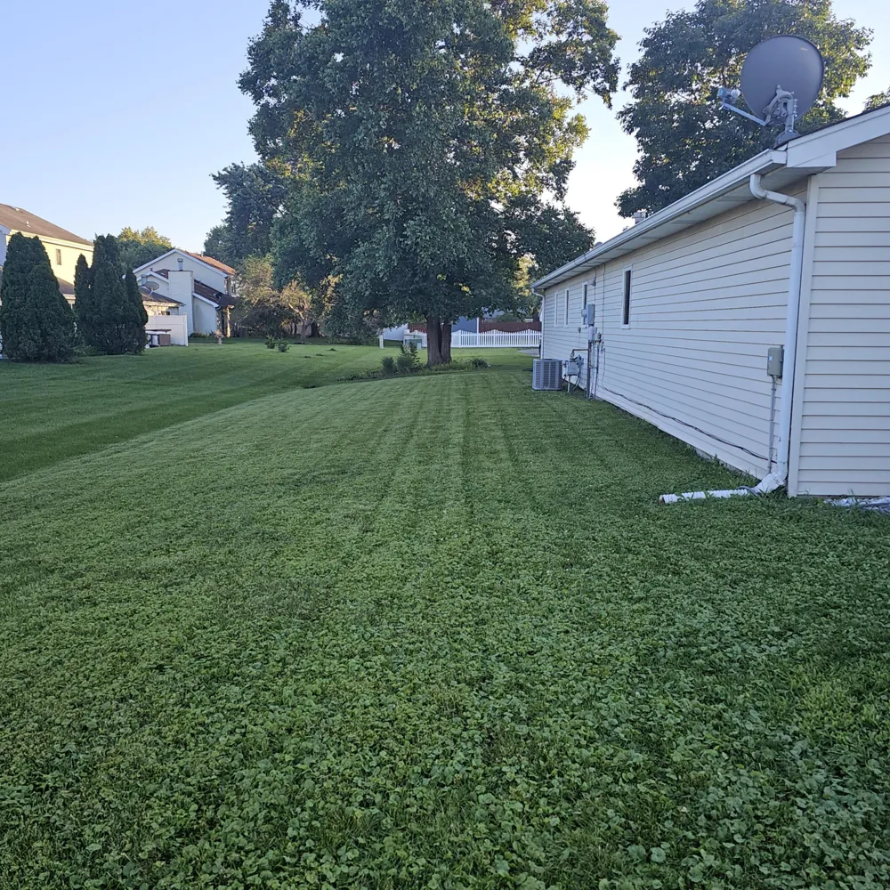 155 Plum Creek Drive Schererville, IN 46375