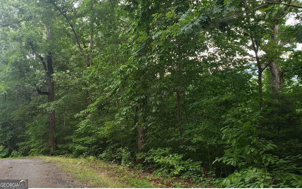0 Clark DR Hiawassee, GA 30546