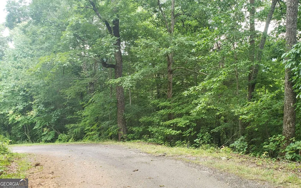0 Clark DR Hiawassee, GA 30546
