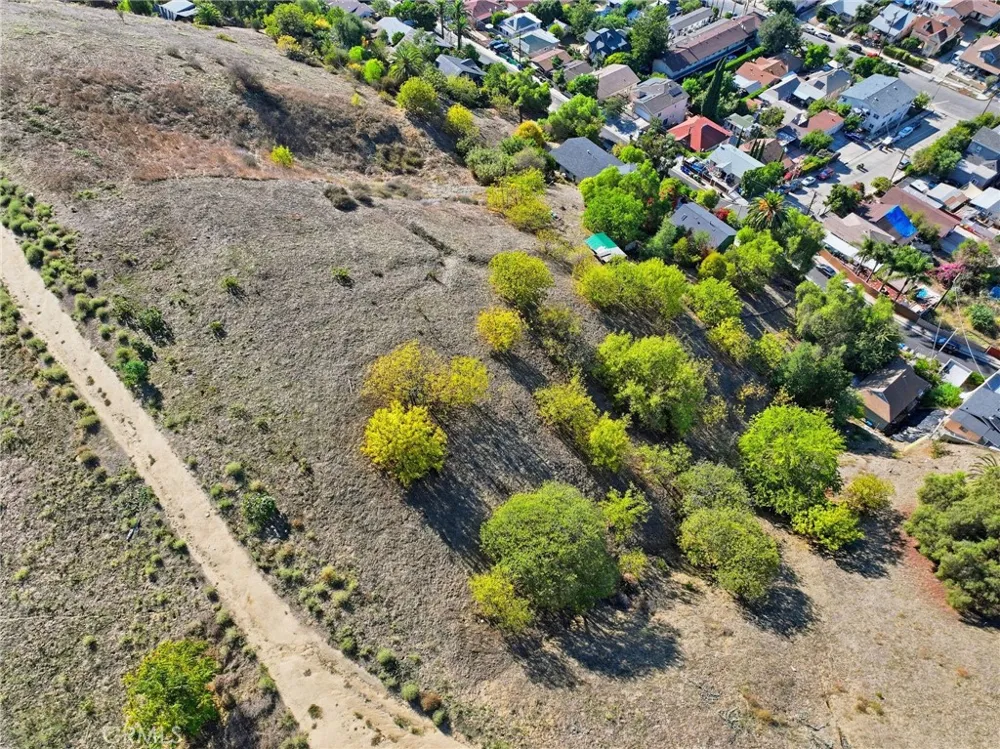 2921 Thomas Street Los Angeles, CA 90034