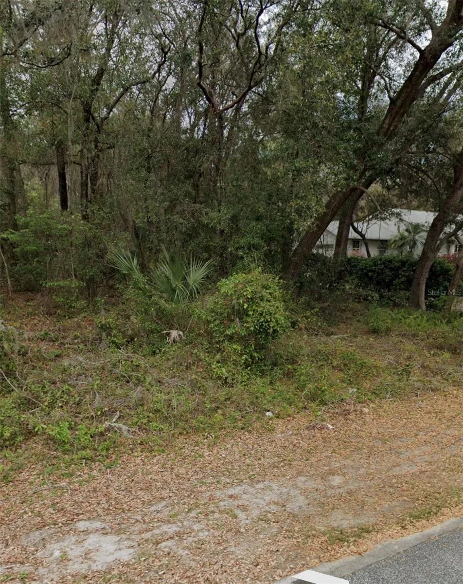 101 PINEY WOODS ROAD Apopka, FL 32703