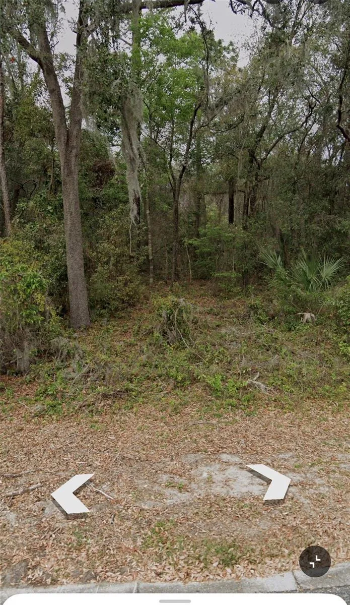 101 PINEY WOODS ROAD Apopka, FL 32703