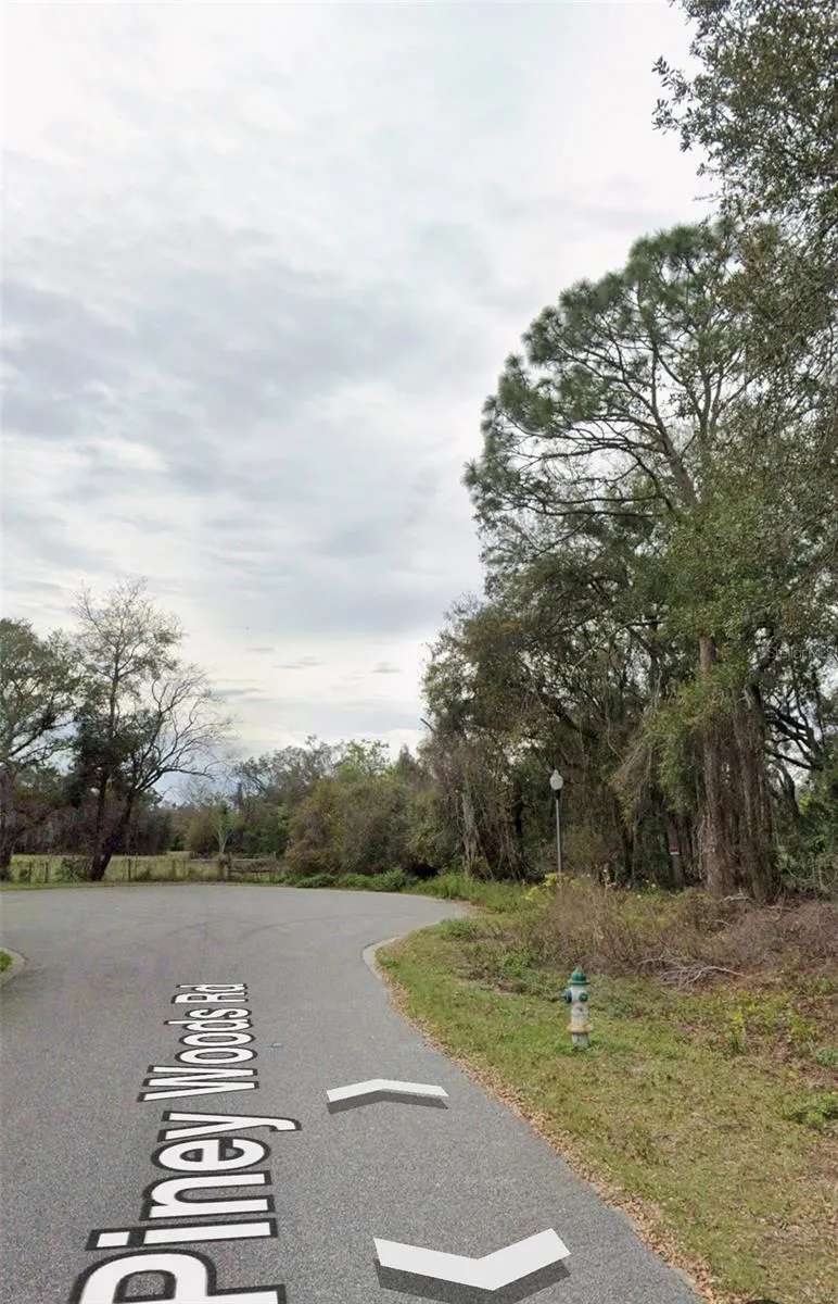 101 PINEY WOODS ROAD Apopka, FL 32703