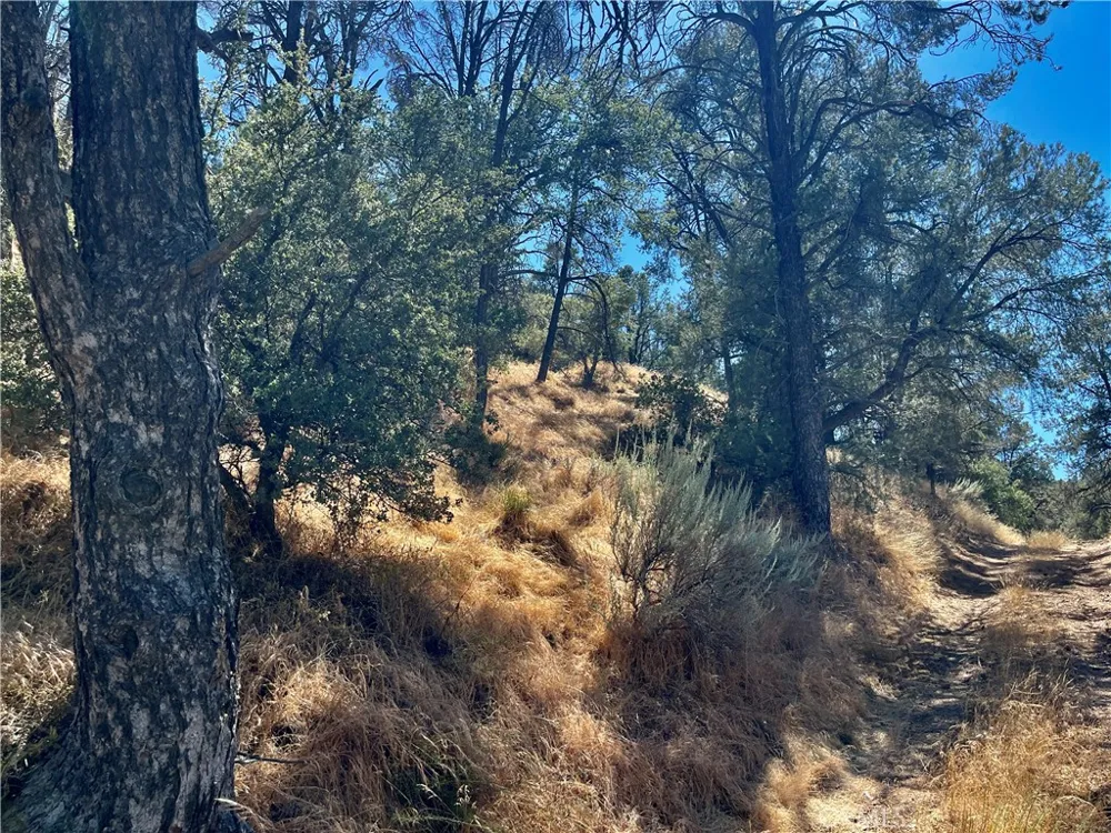 Short Trail Frazier Park, CA 93225