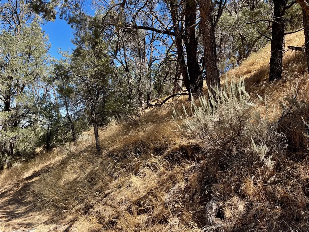 Short Trail Frazier Park, CA 93225