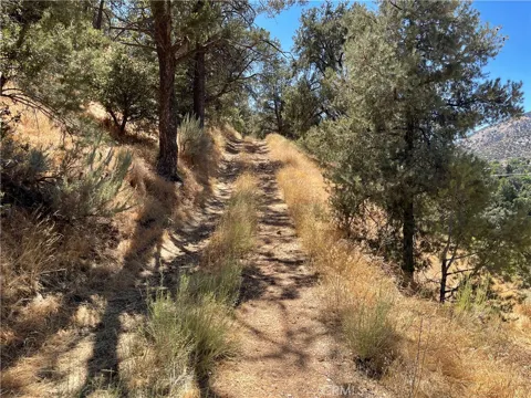 Short Trail