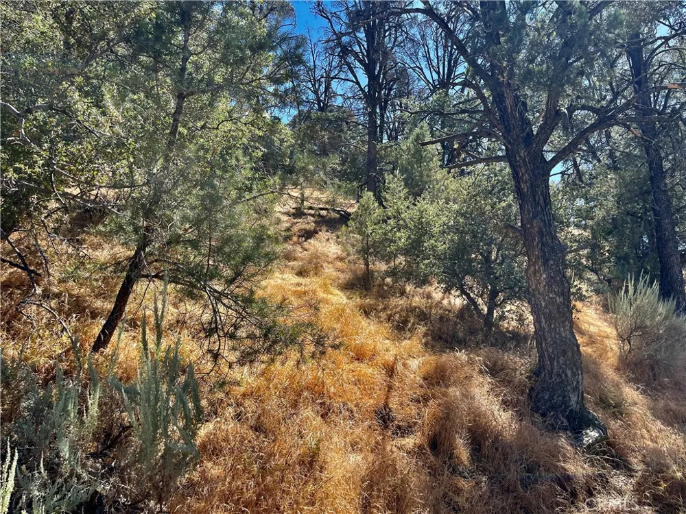Short Trail Frazier Park, CA 93225