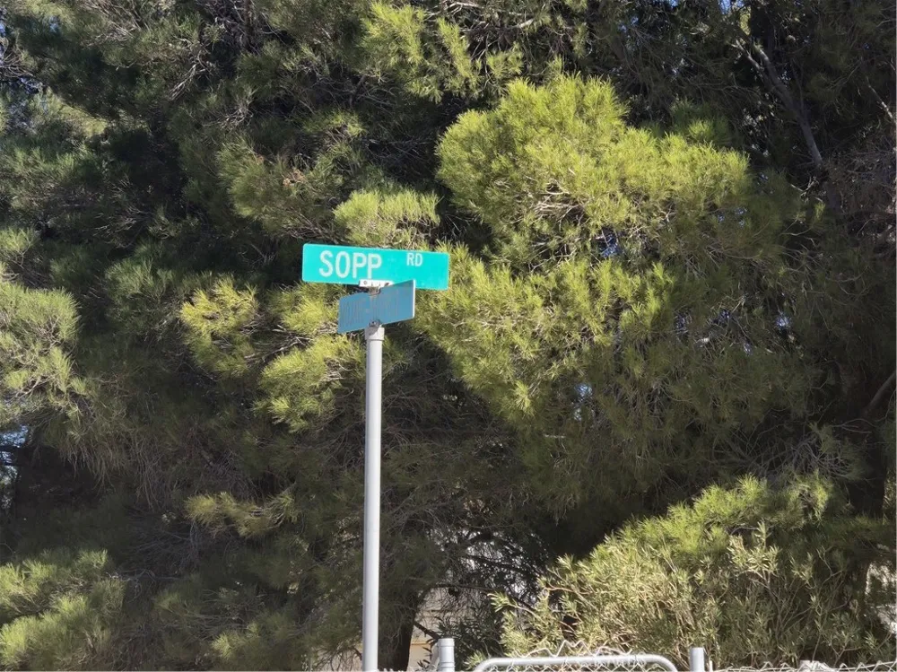 5 Mojave Tropical Rosamond, CA 93560