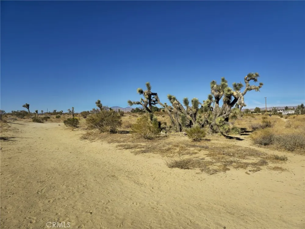5 Mojave Tropical Rosamond, CA 93560