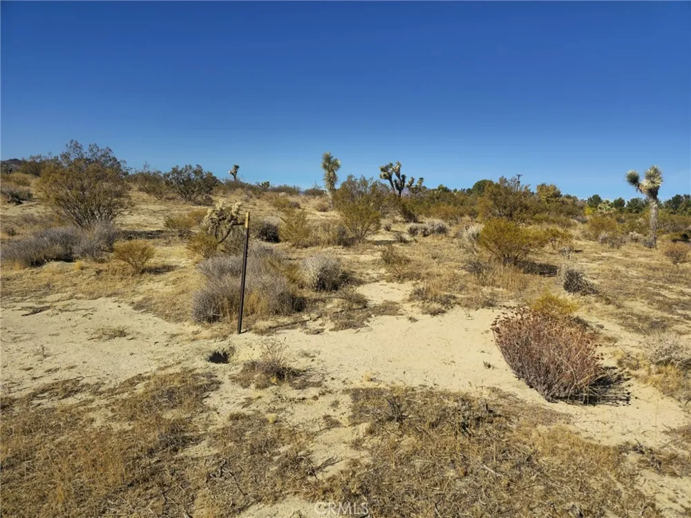 5 Mojave Tropical Rosamond, CA 93560