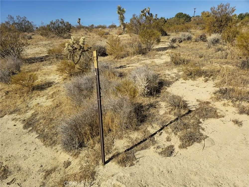 5 Mojave Tropical Rosamond, CA 93560