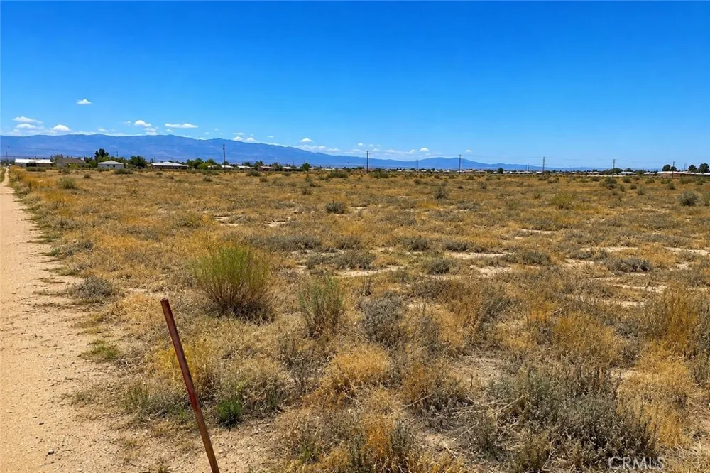 5 Mojave Tropical Rosamond, CA 93560