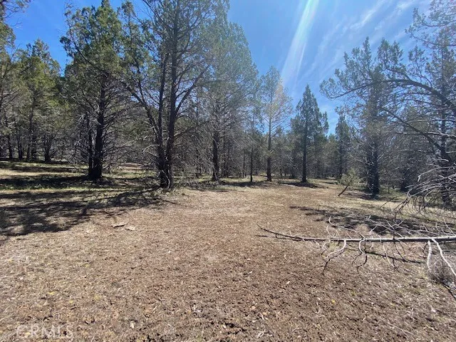 Matthews Road Dorris, CA 96023