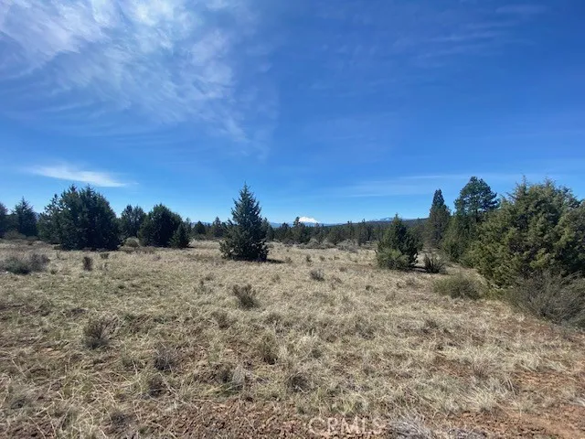 Matthews Road Dorris, CA 96023
