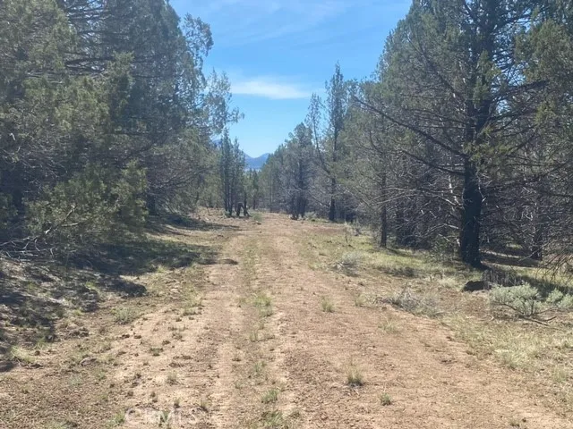 Matthews Road Dorris, CA 96023