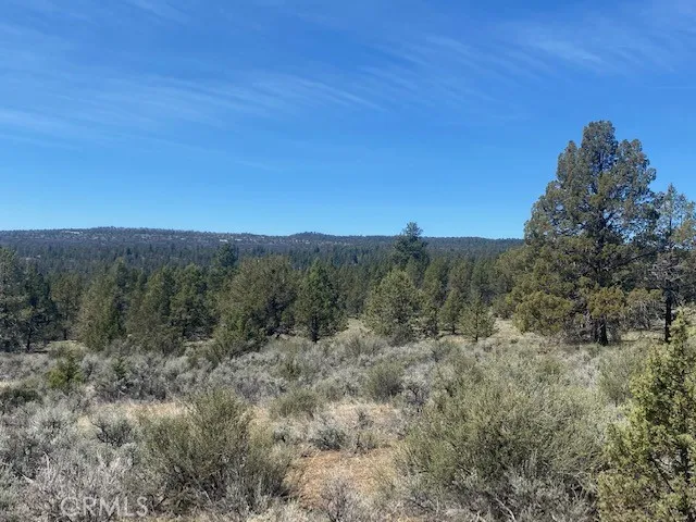 Matthews Road Dorris, CA 96023