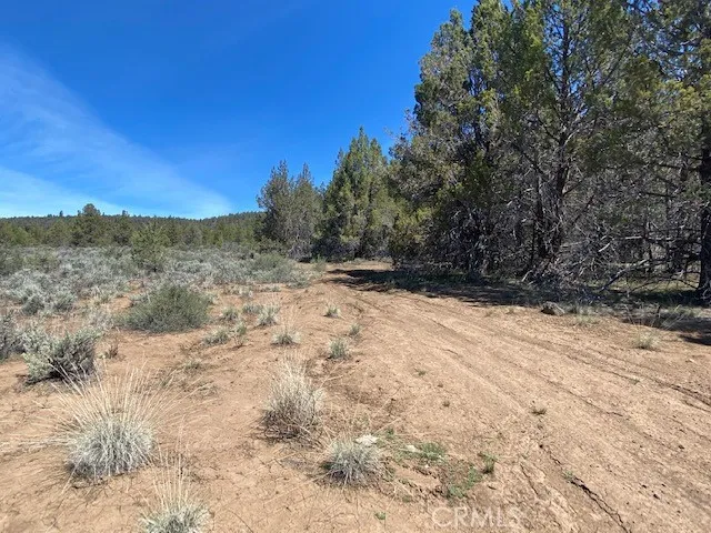 Matthews Road Dorris, CA 96023