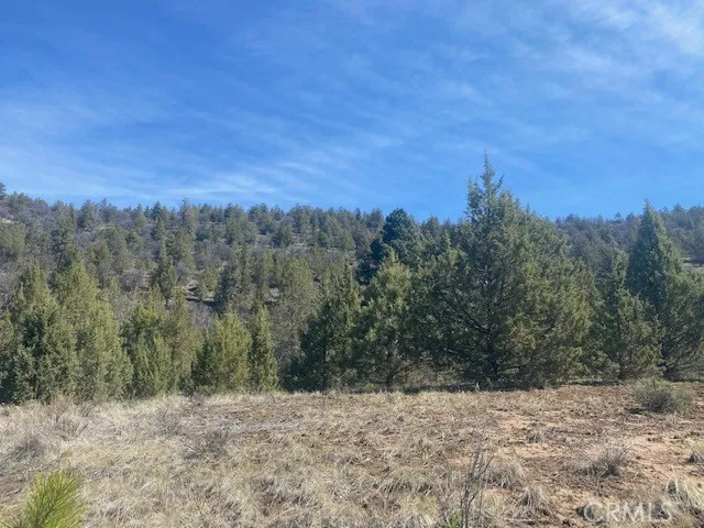 Matthews Road Dorris, CA 96023