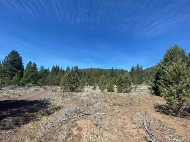 Matthews Road Dorris, CA 96023