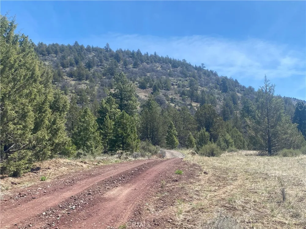 Matthews Road Dorris, CA 96023