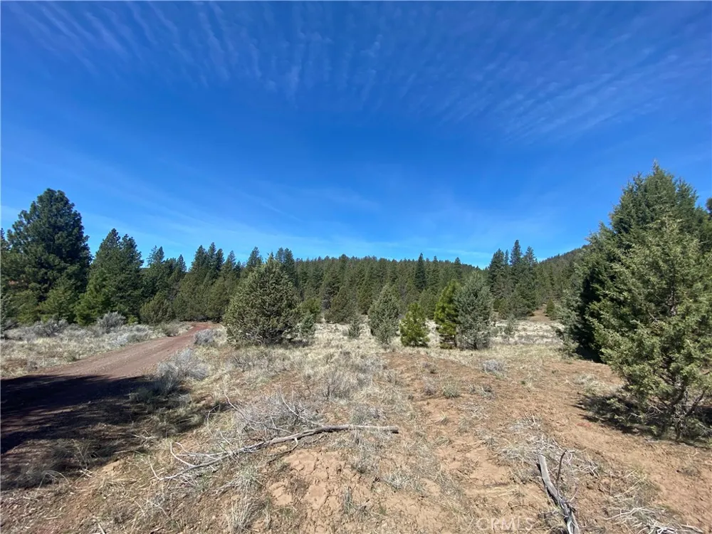 Matthews Road Dorris, CA 96023