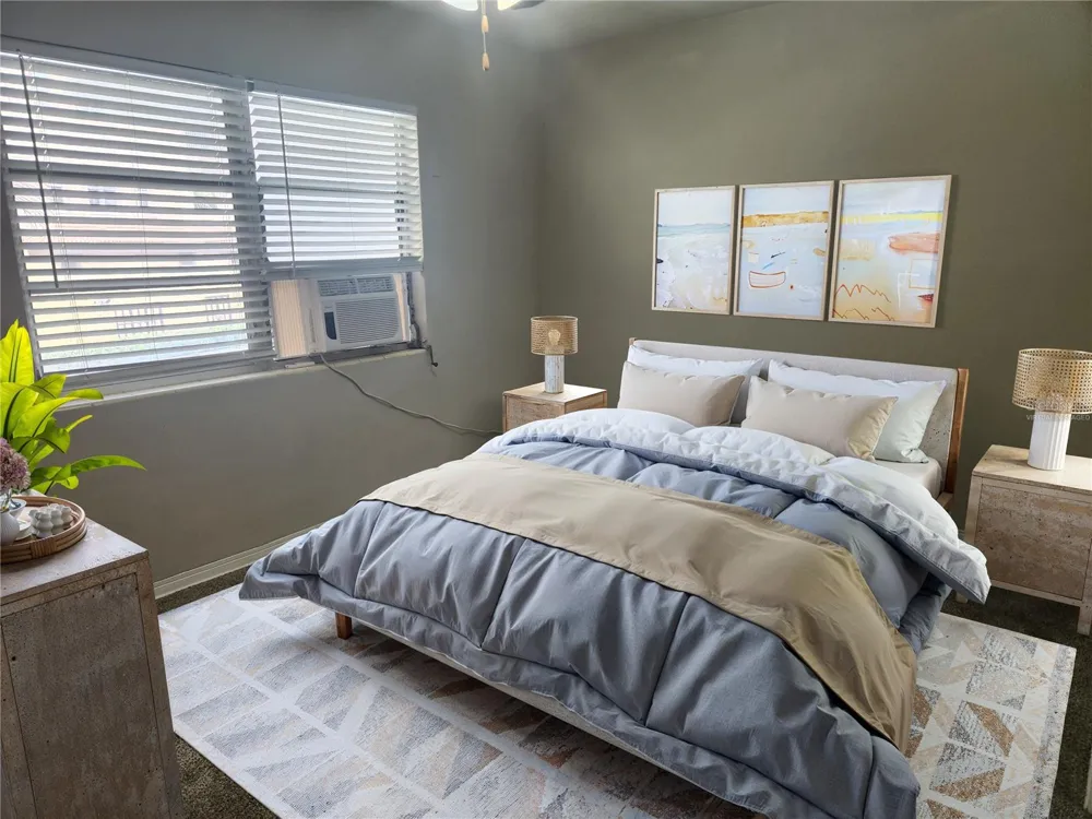 487 1ST STREET S #205 St Petersburg, FL 33701