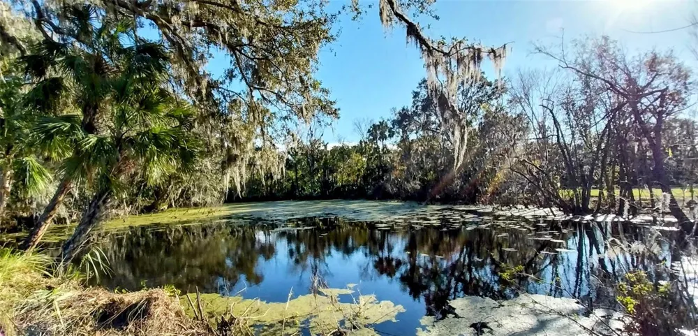11105 WINN ROAD Riverview, FL 33569