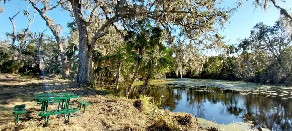 11105 WINN ROAD Riverview, FL 33569