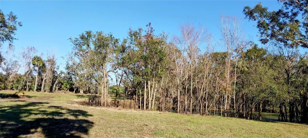 11105 WINN ROAD Riverview, FL 33569