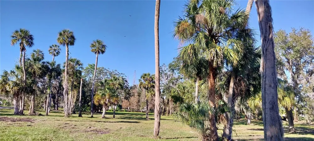 11105 WINN ROAD Riverview, FL 33569