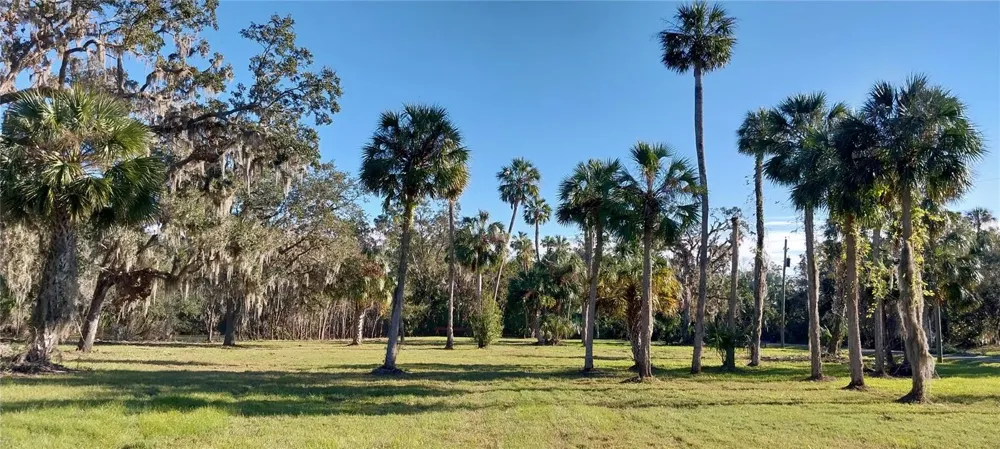 11105 WINN ROAD Riverview, FL 33569