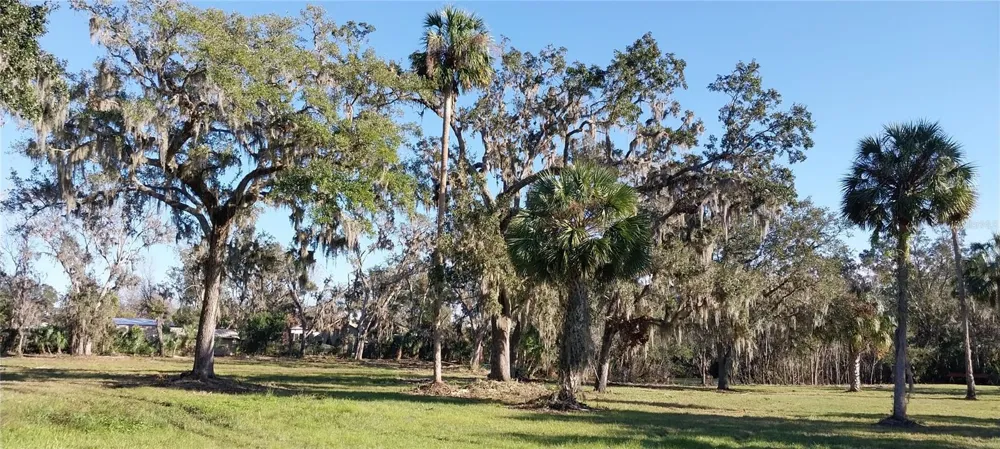 11105 WINN ROAD Riverview, FL 33569