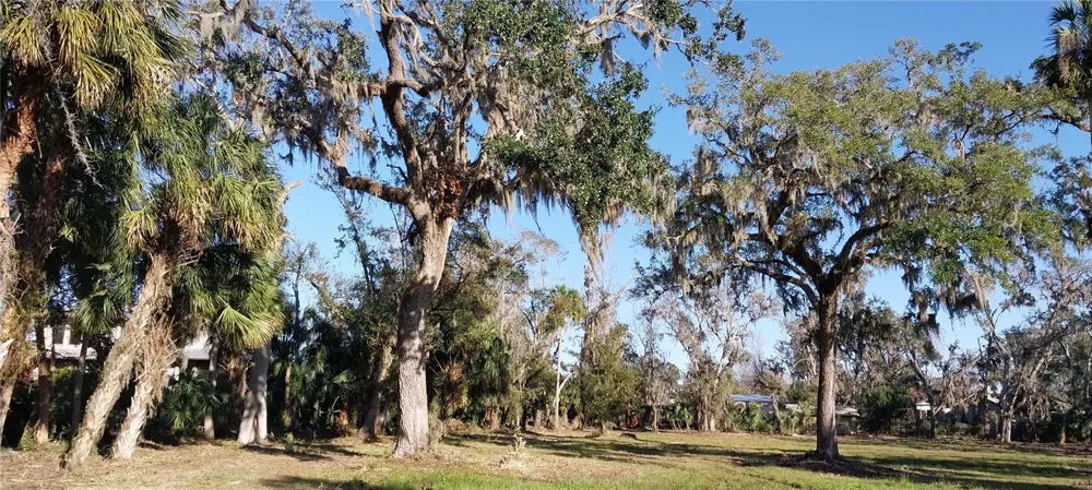 11105 WINN ROAD Riverview, FL 33569
