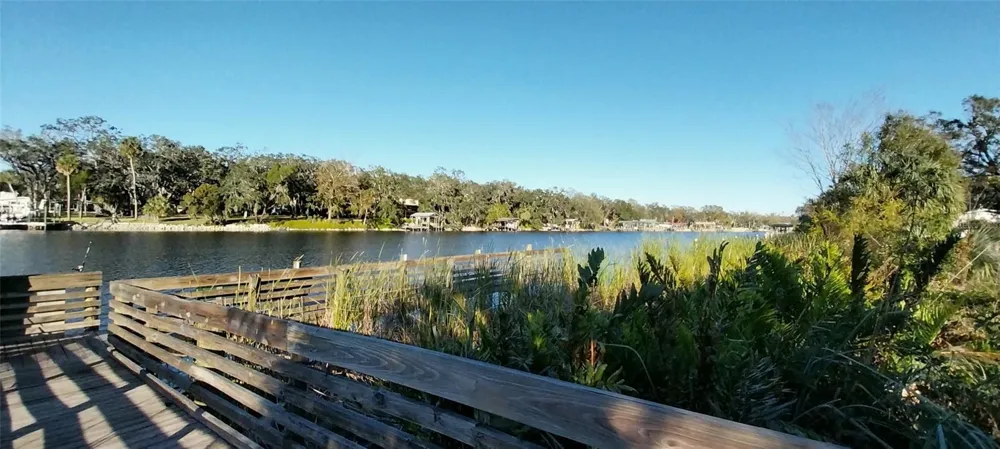 11105 WINN ROAD Riverview, FL 33569