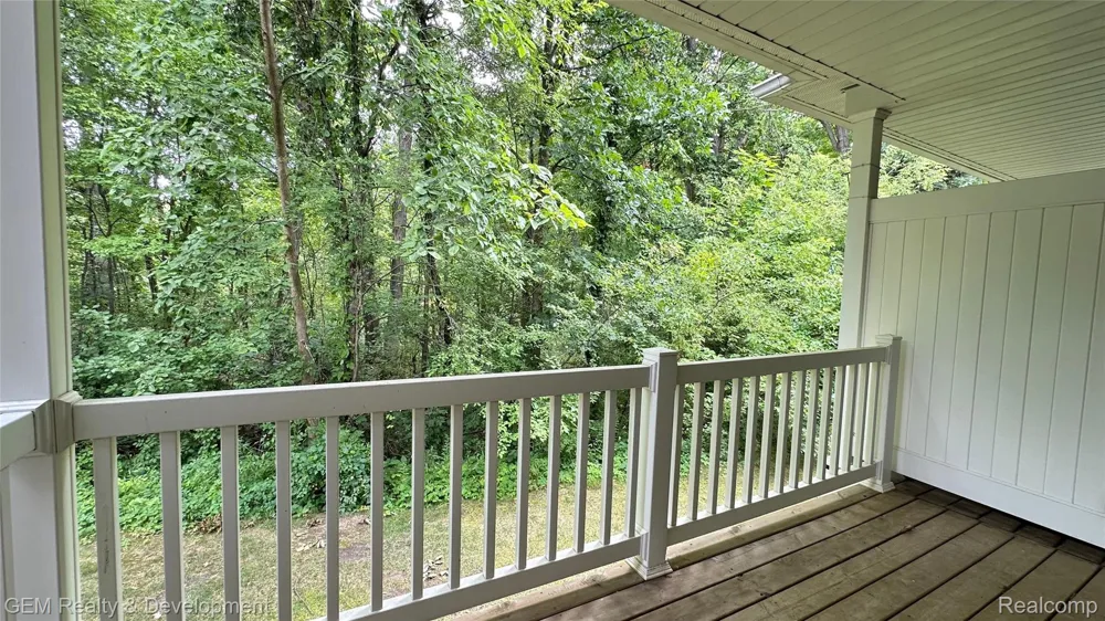 5555 WOODRUFF SHORE DRIVE Brighton Township, MI 48116