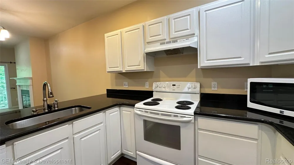 5555 WOODRUFF SHORE DRIVE Brighton Township, MI 48116