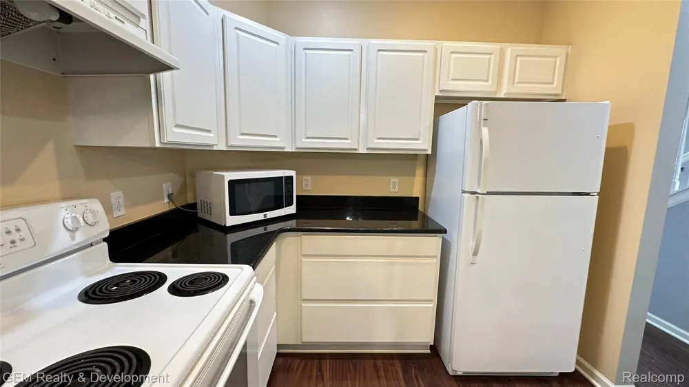 5555 WOODRUFF SHORE DRIVE Brighton Township, MI 48116