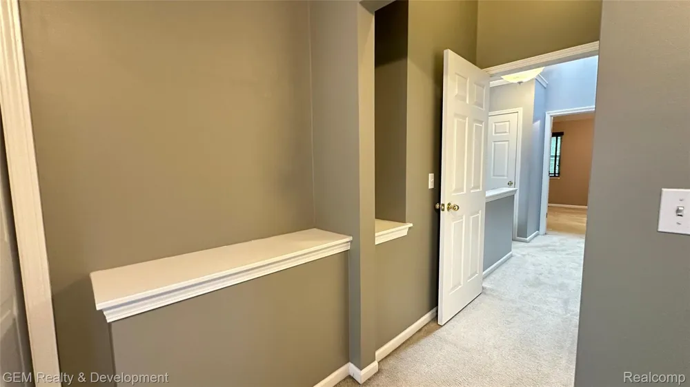 5555 WOODRUFF SHORE DRIVE Brighton Township, MI 48116