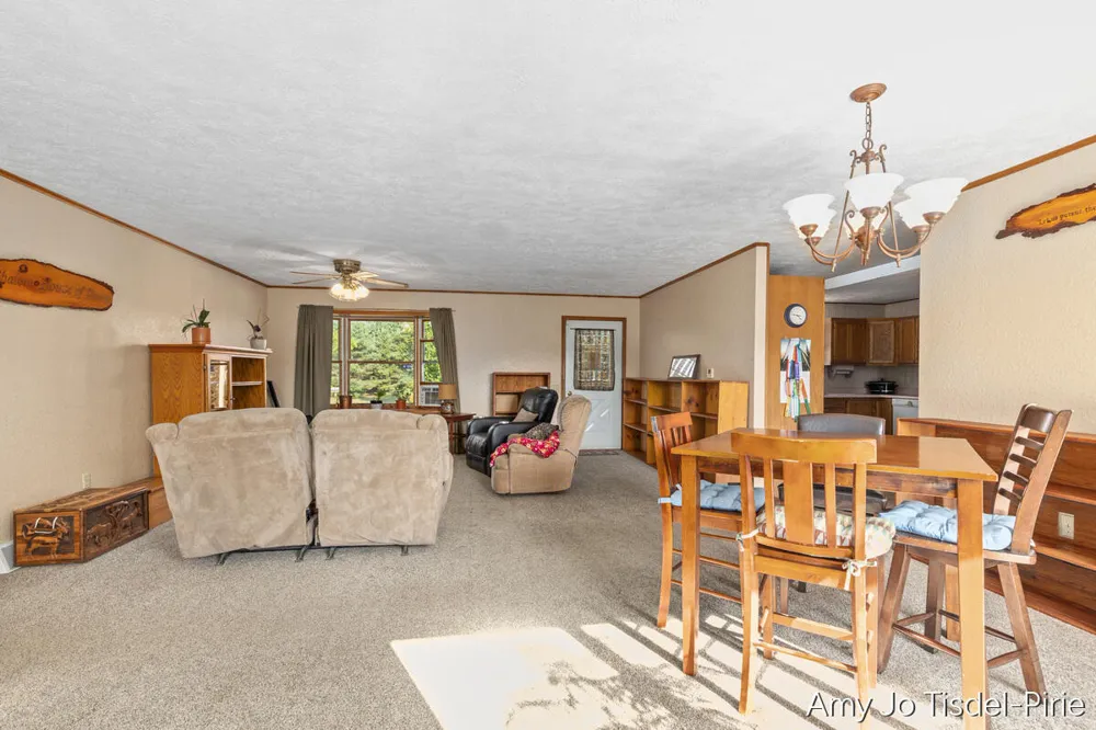 6643 S Wood Road Bushnell Township, MI 48884